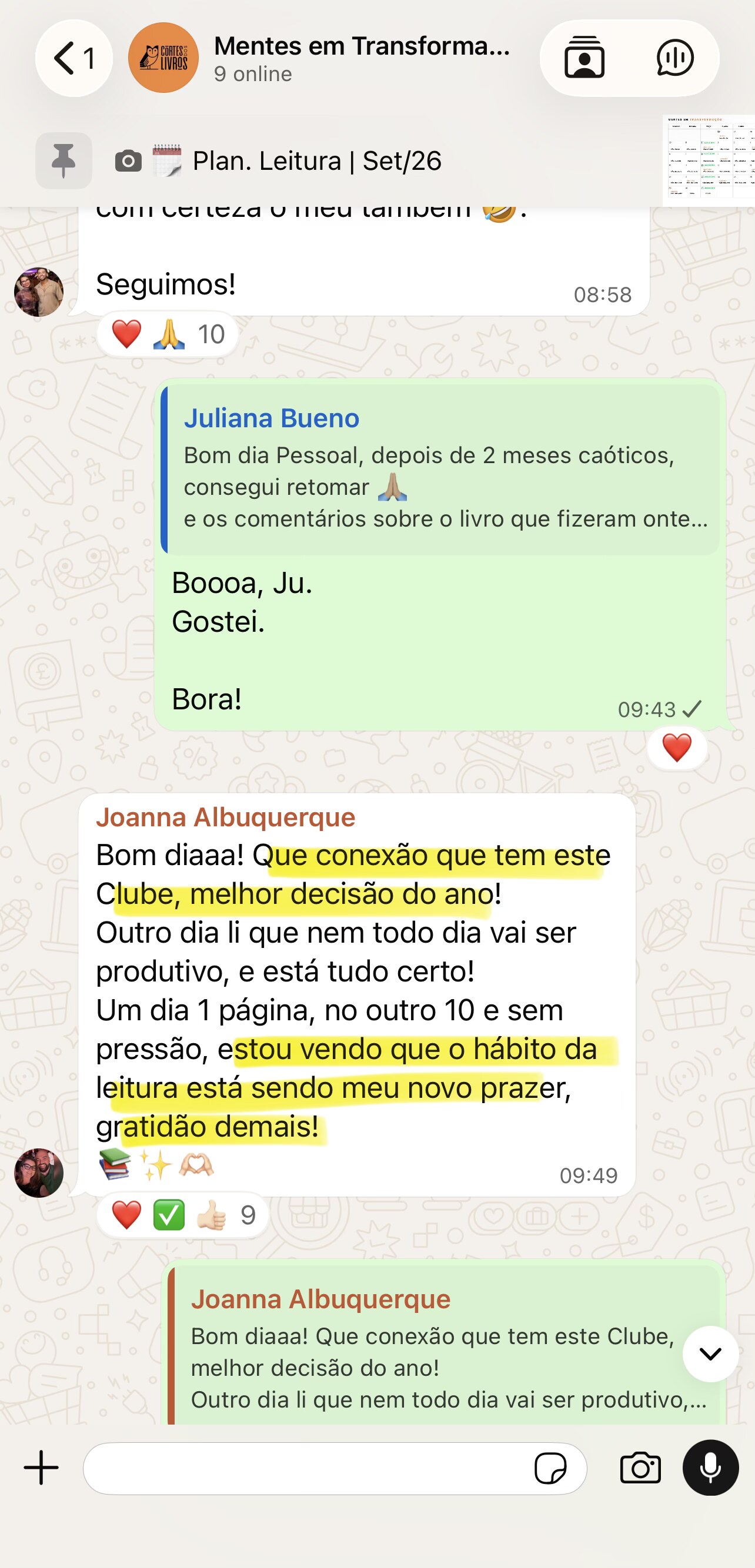 Print de conversa 3