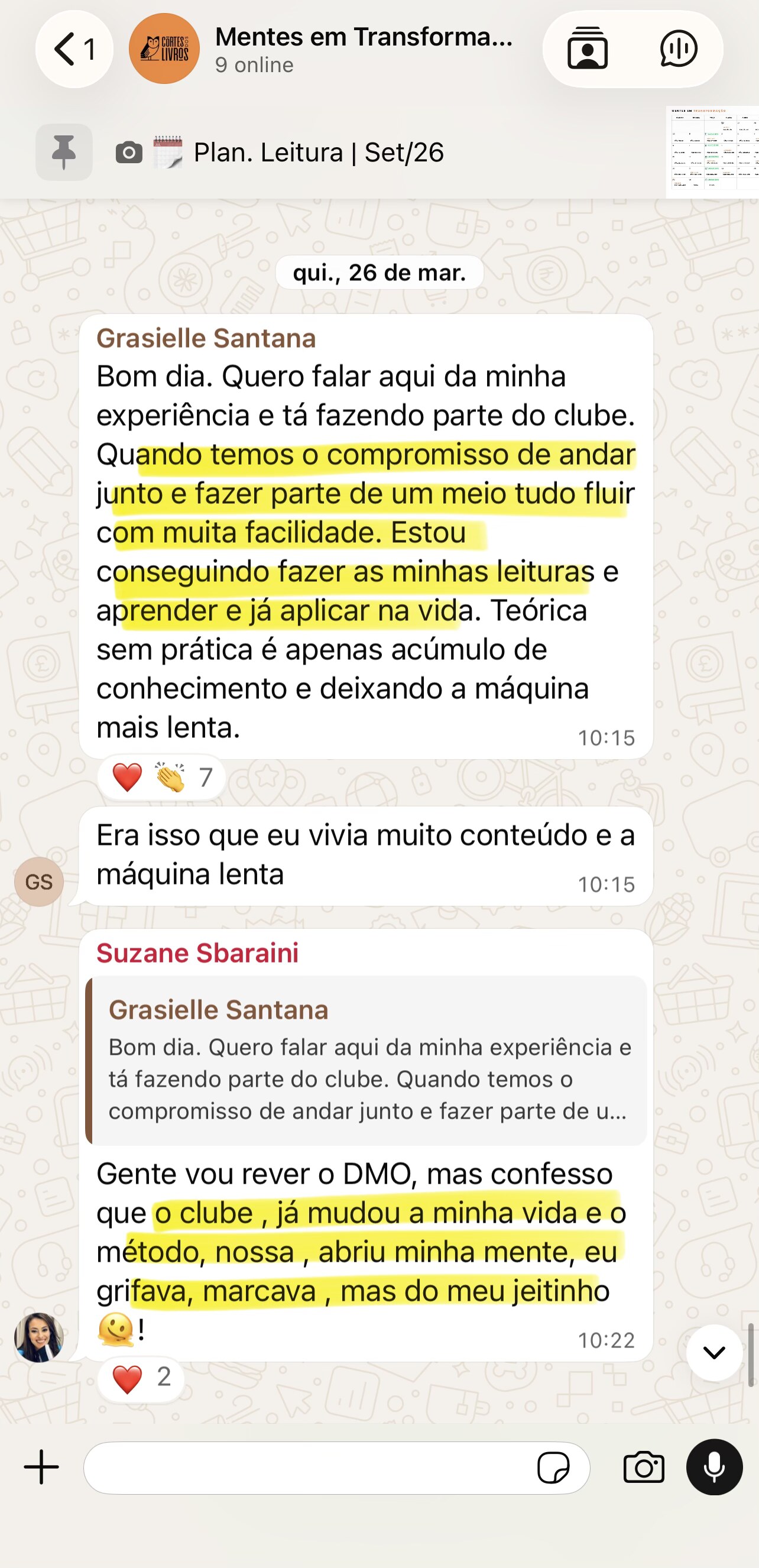 Print de conversa 2